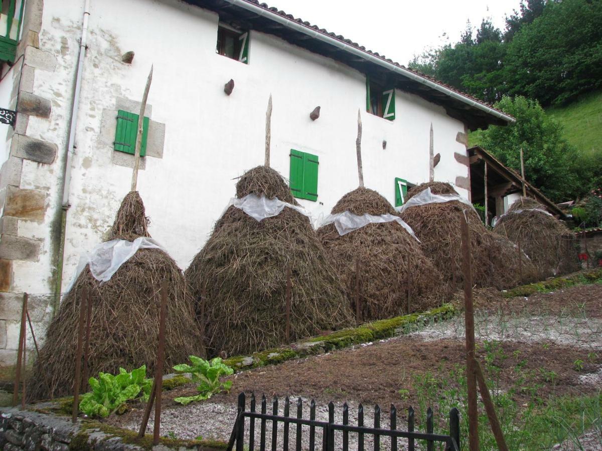 Albergue Olasenea Aterpea Zubieta Exterior photo